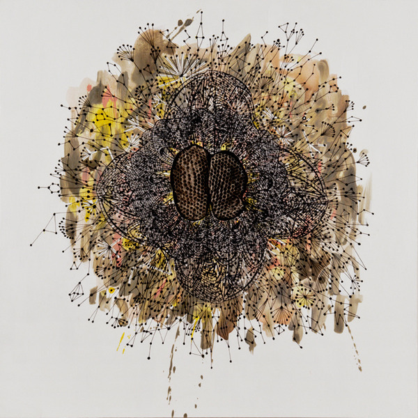 James Cullinane, The End of Owls, 2010